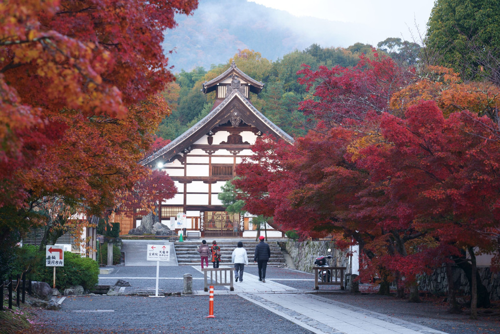 京都　西山の秋'22　朝ぼらけの参道