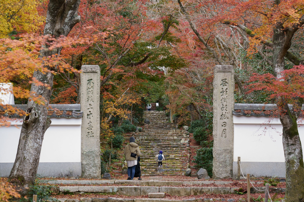 京都　西山の秋'22　浄住寺