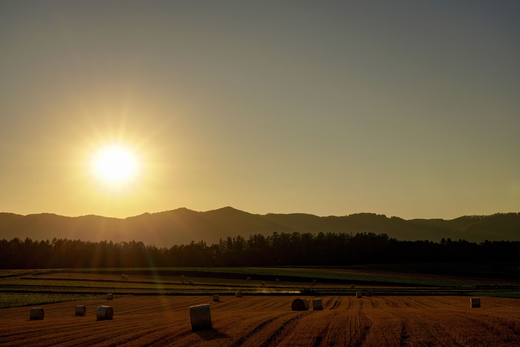 麦稈ロールある農作業風景