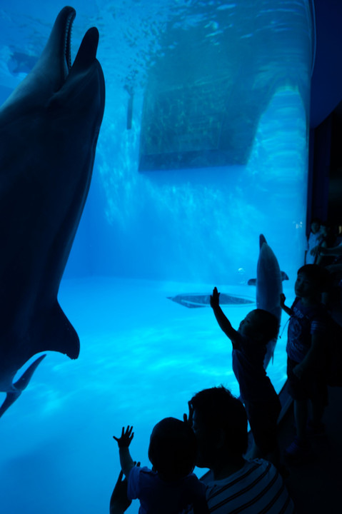 名古屋港水族館