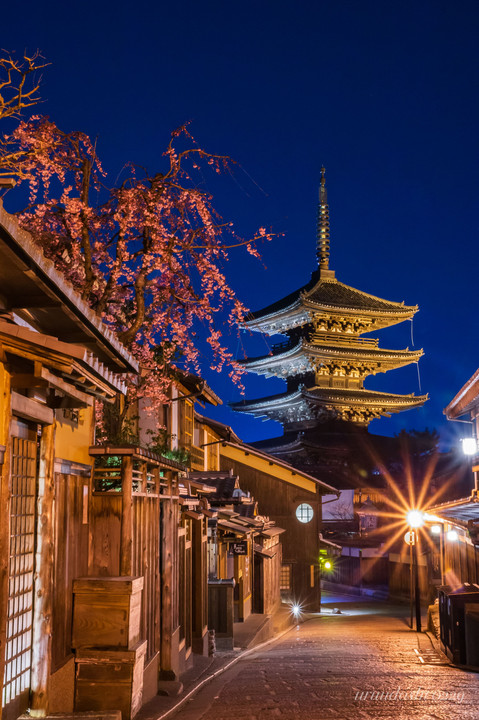 法観寺と夜桜が魅せる京都の夜