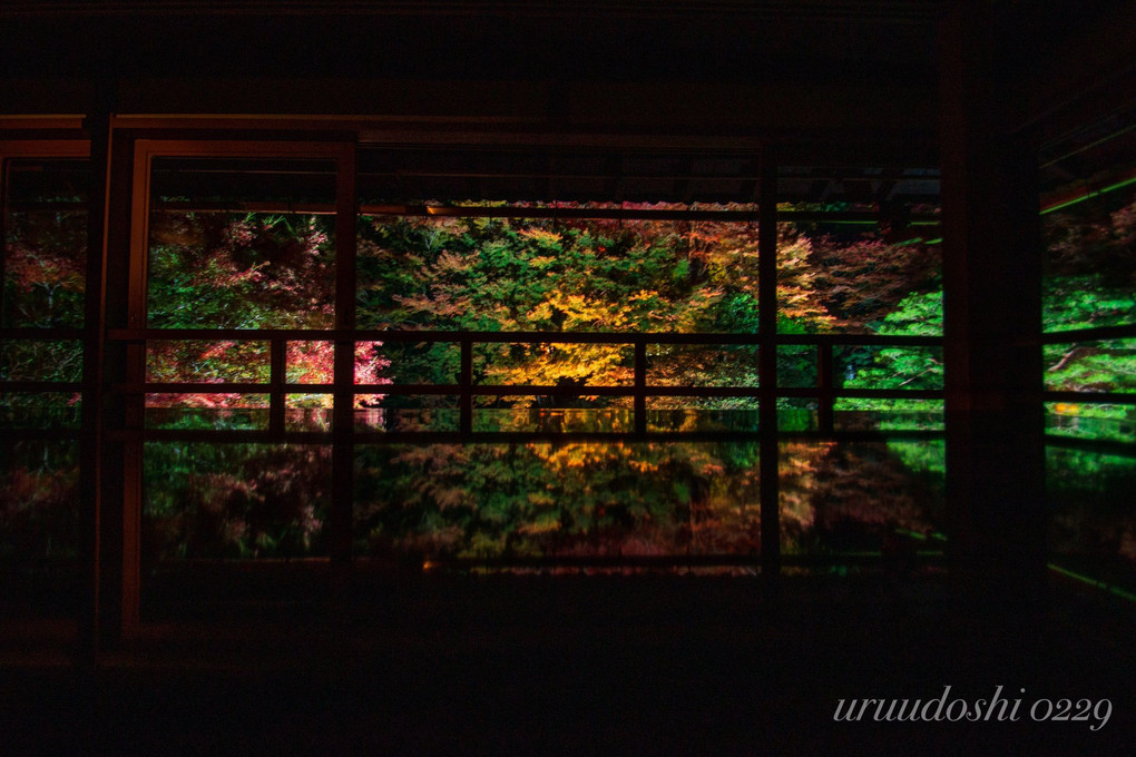 ライトアップの旧竹林院リフレクション