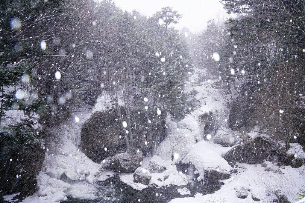 竜頭の滝：冬
