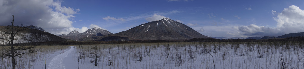 雪の湿原