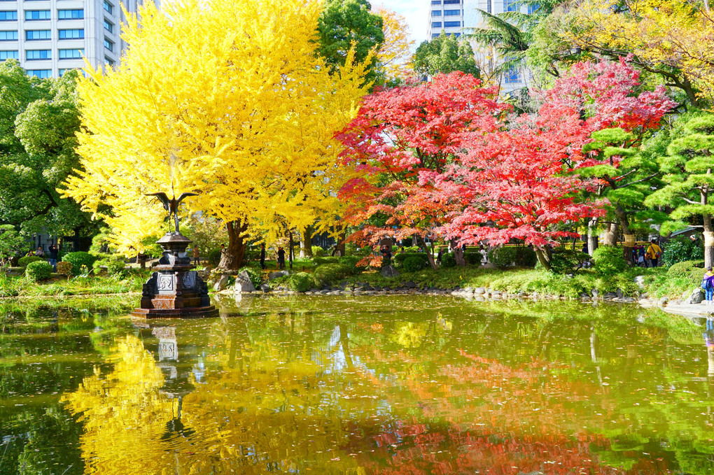 秋色探し散策＠日比谷公園