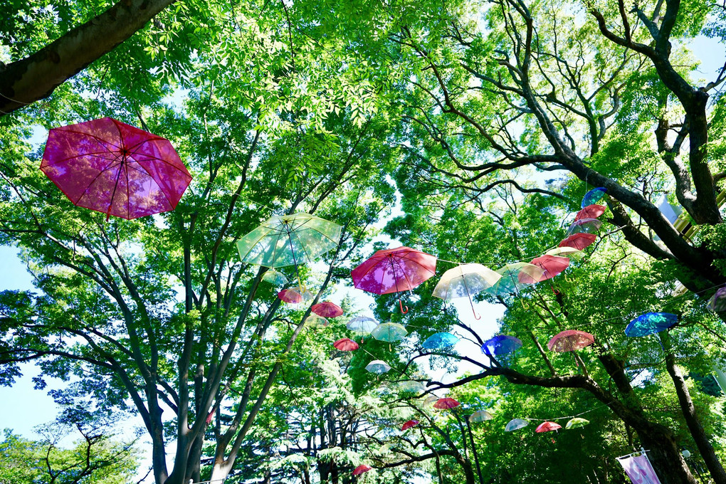 梅雨の晴れ間