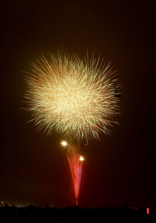 夏の空に咲く花