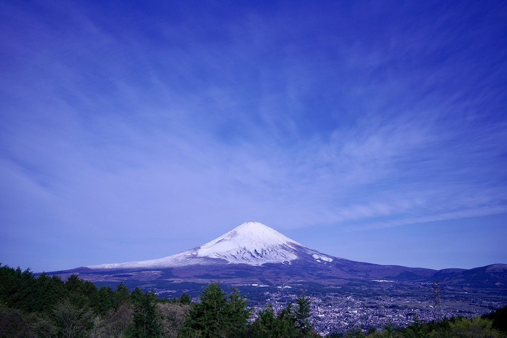 乙女峠「ふじみ茶屋」からの富士山