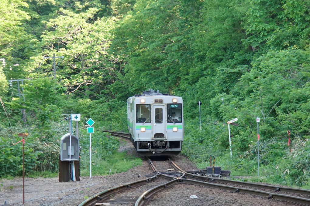 新緑の函館本線銀山駅