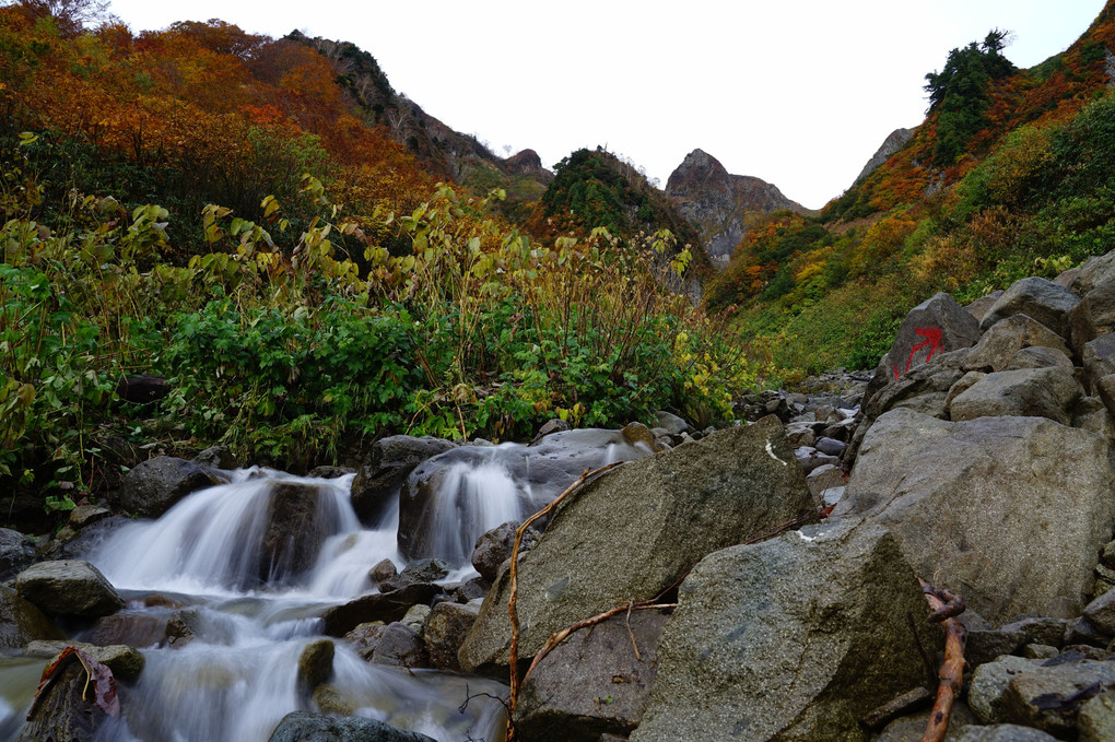 雨飾山の秋