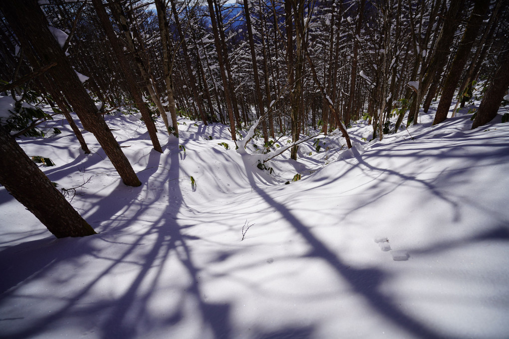 静穏・阿智セブン南沢山