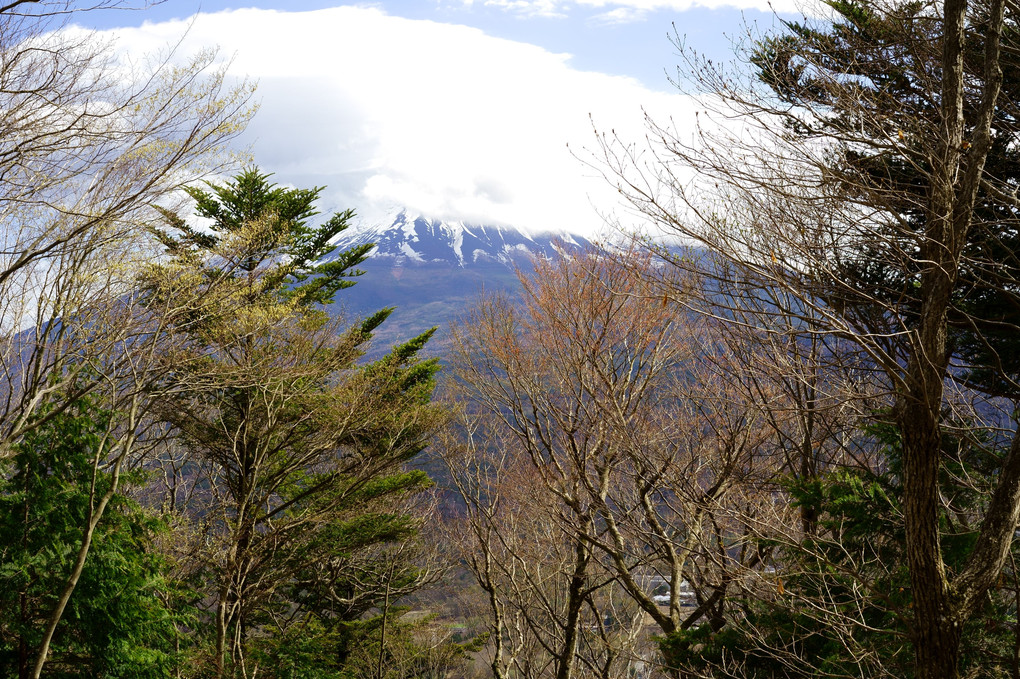 雨後の富士、足早の春
