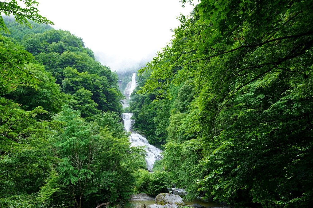 湿潤　～石空川渓谷