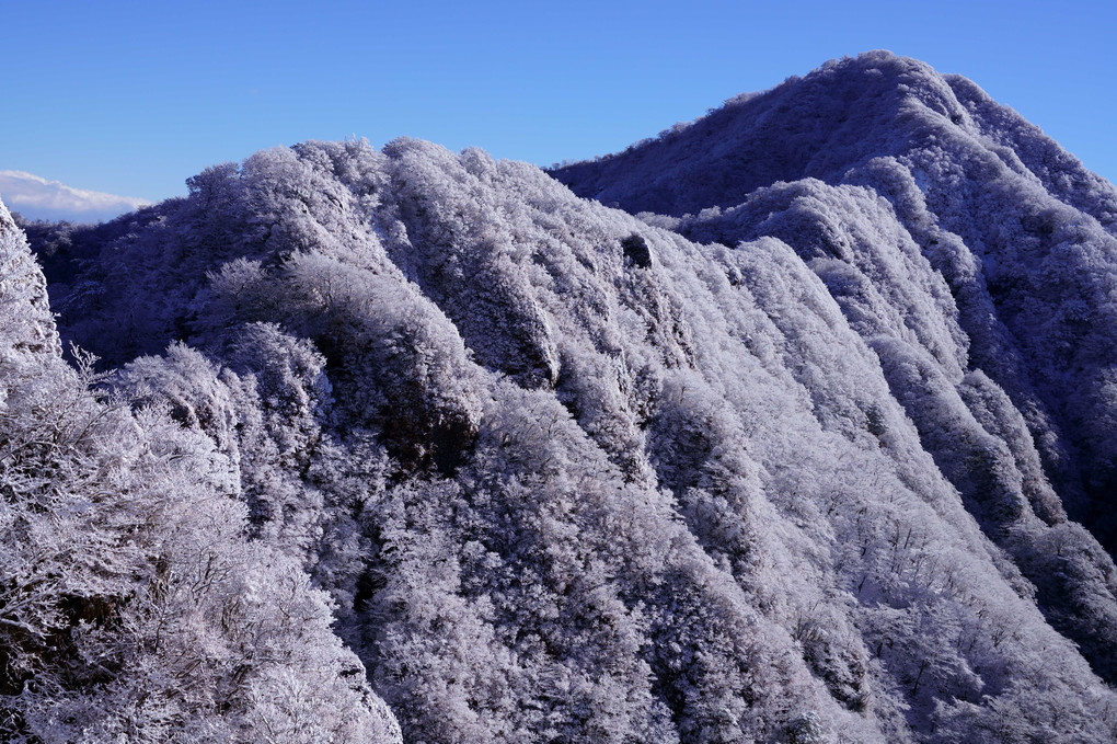 愛鷹山　初雪化粧の位牌岳