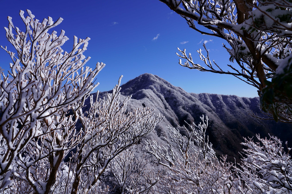 愛鷹山　初雪化粧の位牌岳