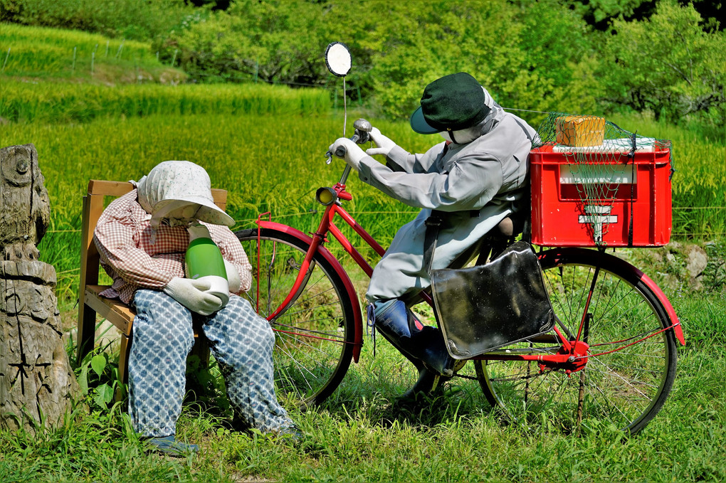 おいでん癒されるに四谷の千枚田