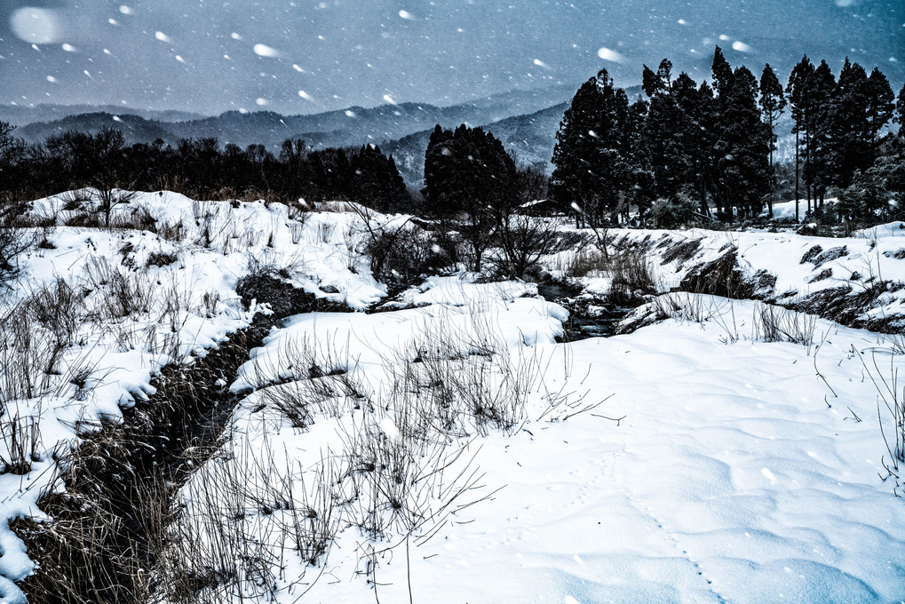 奥琵琶湖周辺　雪景色