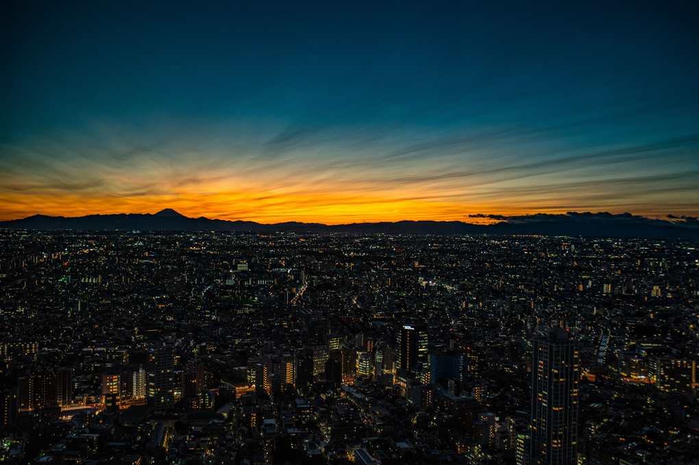 影富士と夜景の新宿