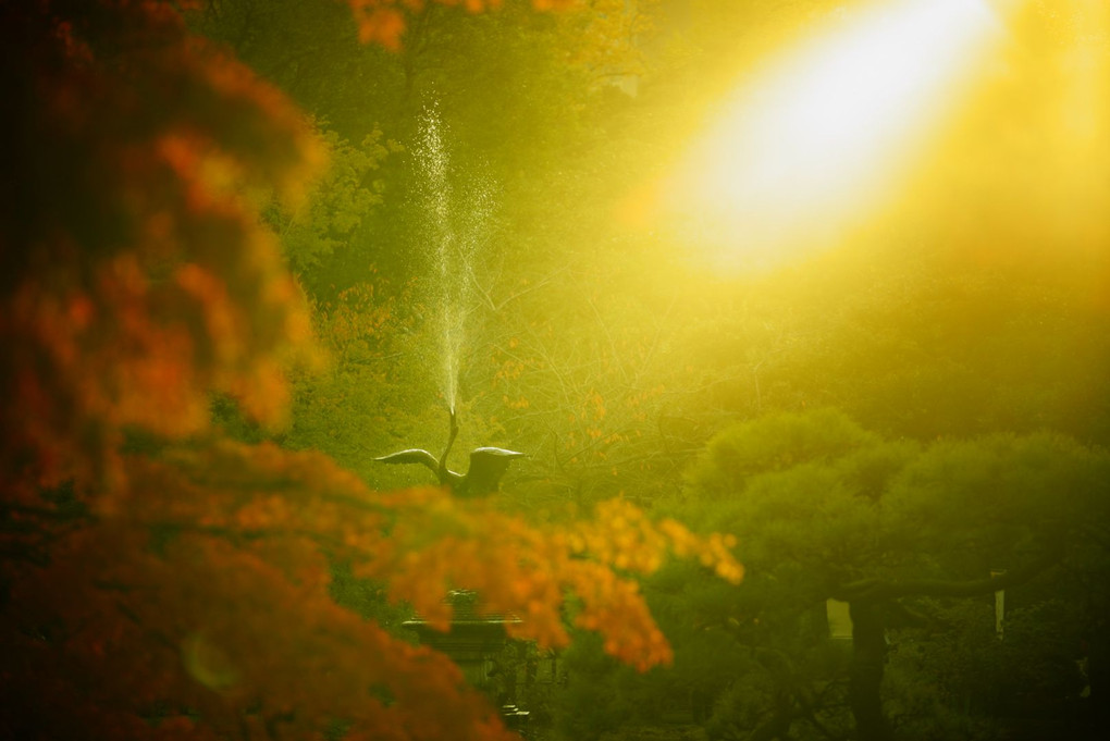 秋色探し＠日比谷の公園編　黄金の鶴に。良い感じです～