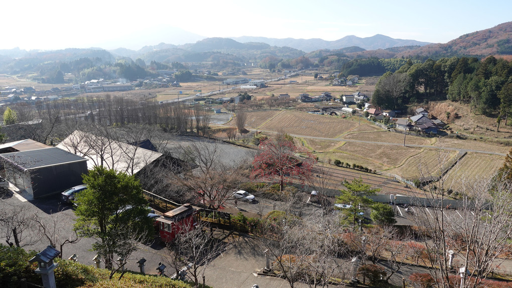 蒼碧空に紅く浮きだつ実南天