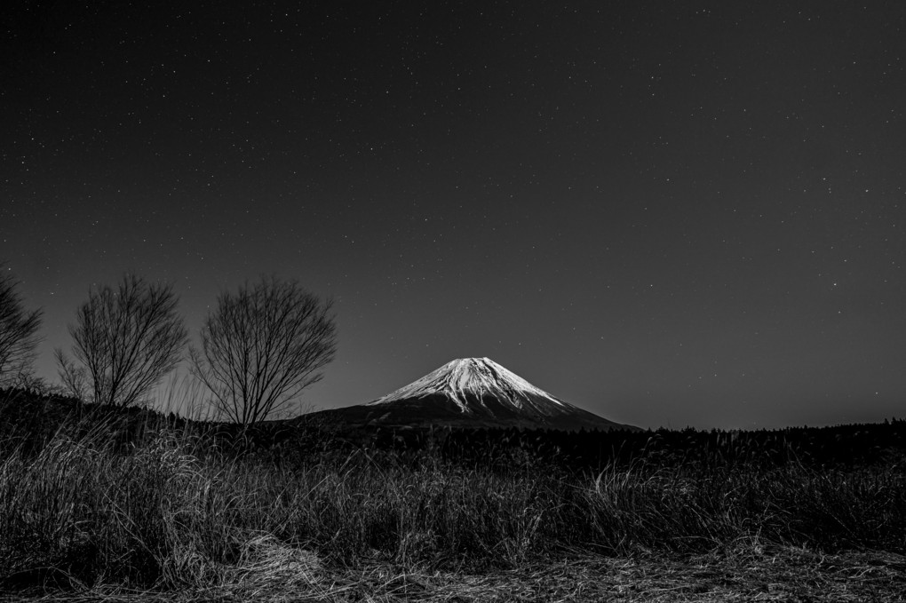ふもと村からの富士山