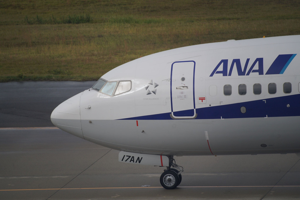 ANA B 737