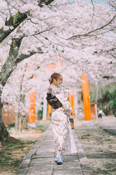 桜と着物ポトレ遊び