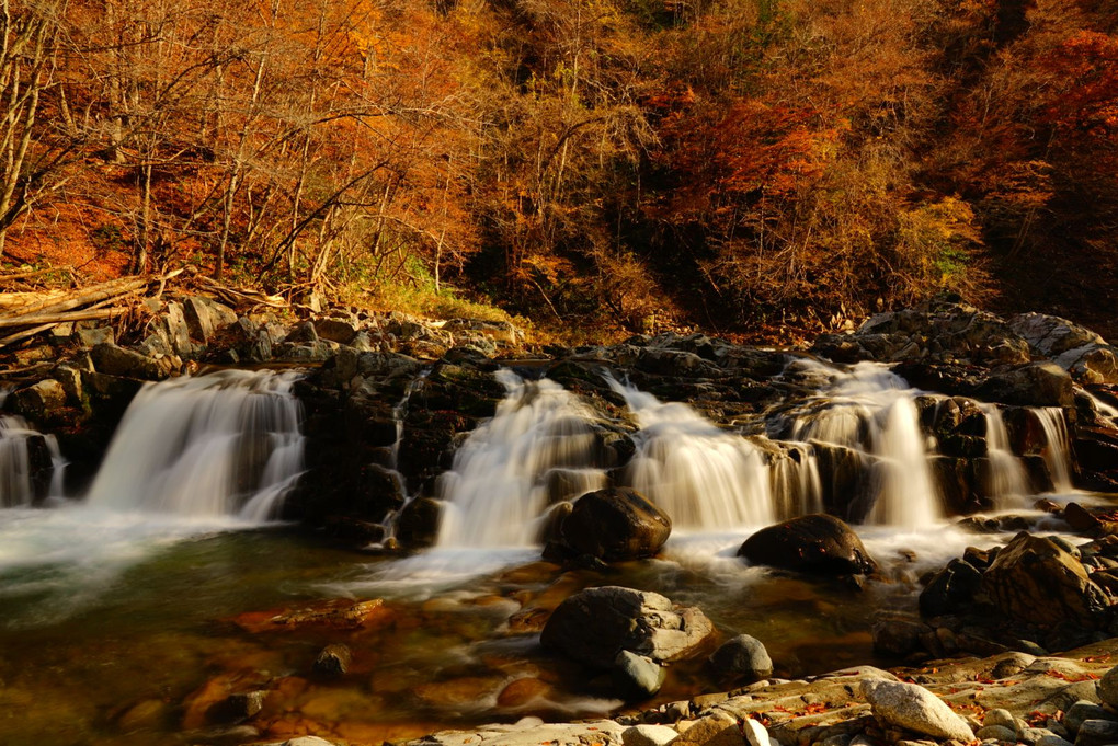 滝が秋に染まる頃。