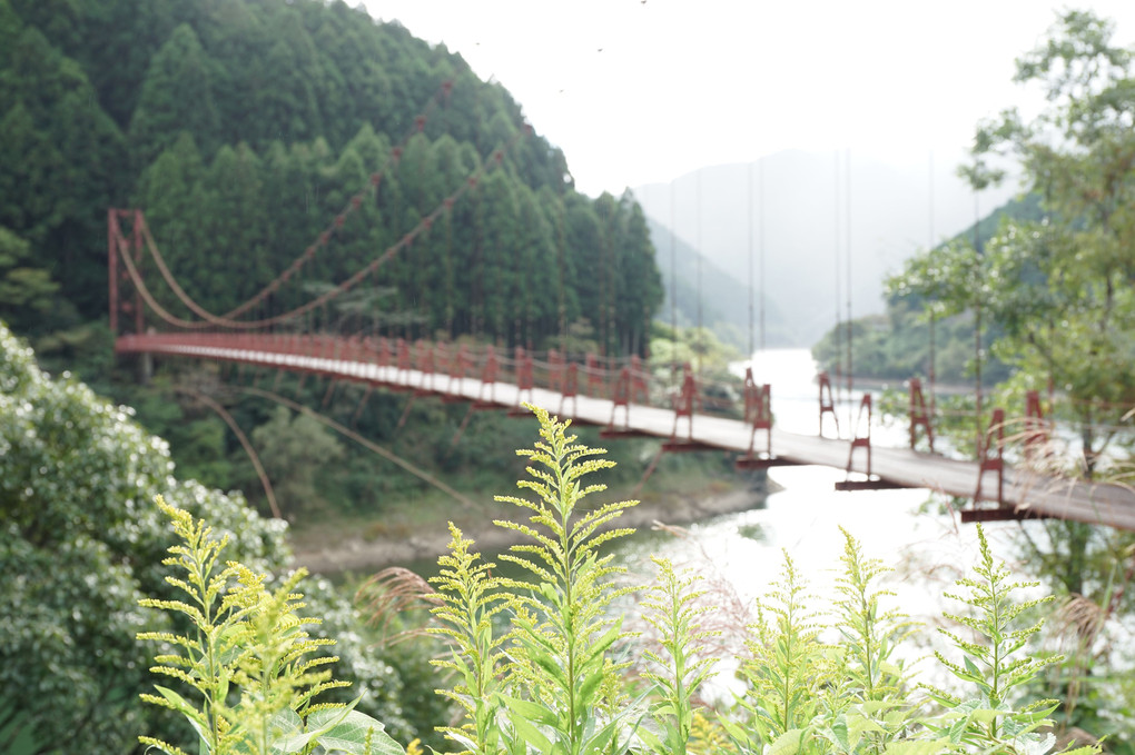 蔵王橋３景　(有田川町)