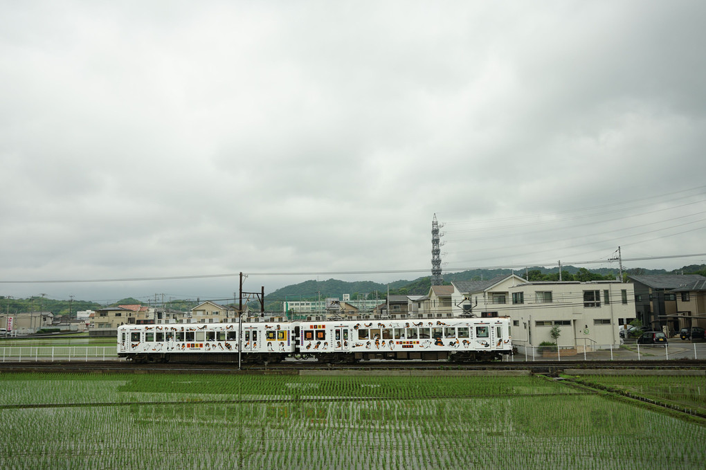 #和歌山電鐵#