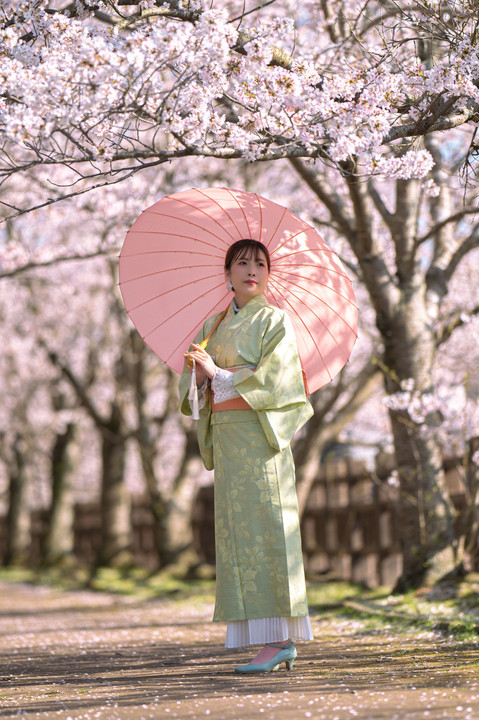 和傘と桜のシャドー