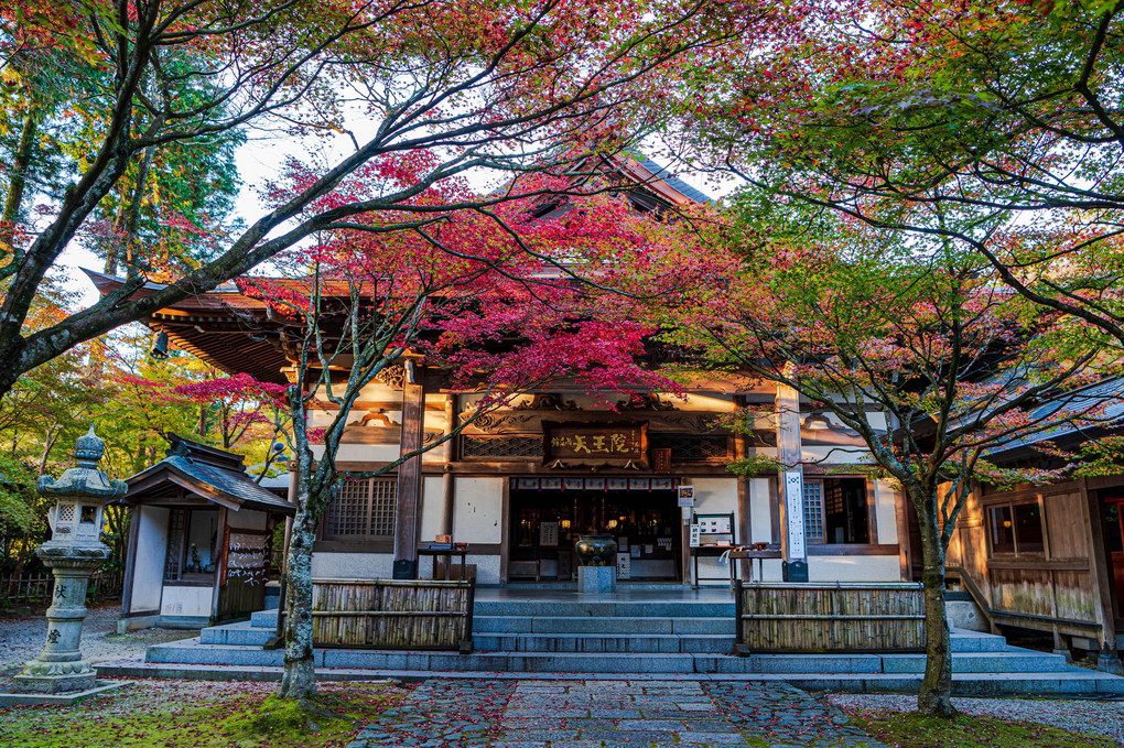 呑山観音寺の紅葉