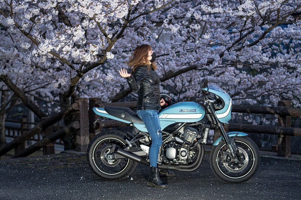 バイク女子と桜