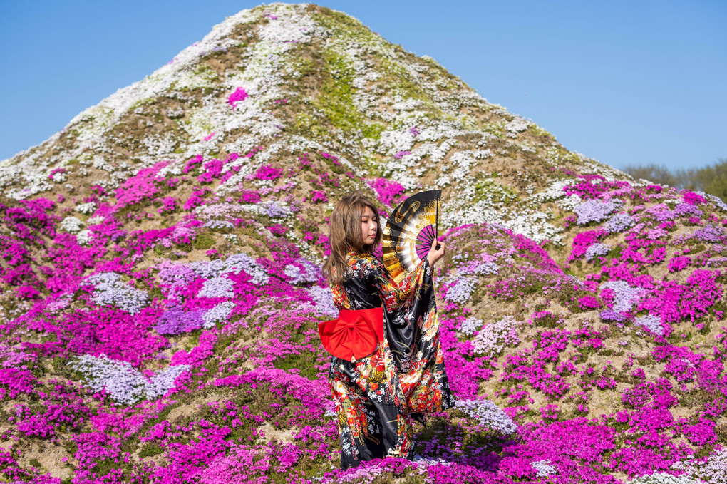 芝桜富士 とPortret