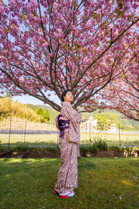 八重桜と着物