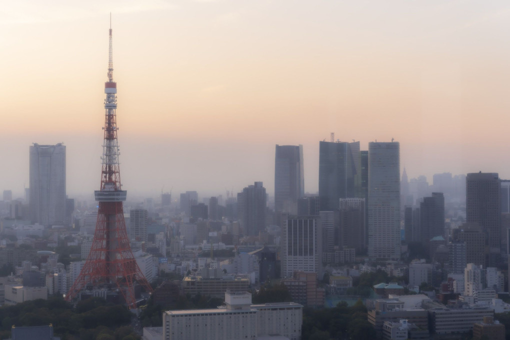 東京夕景