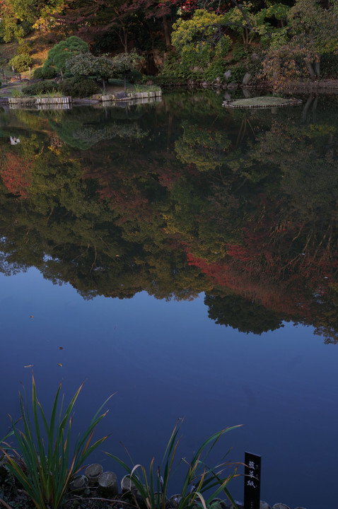 近所の庭園の紅葉