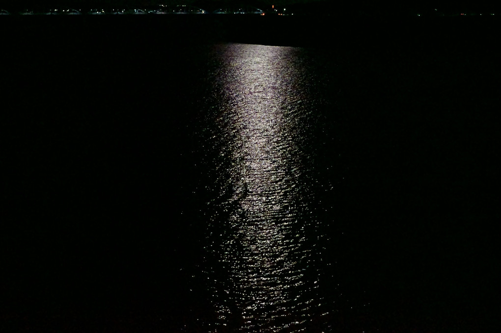 月明かりと川