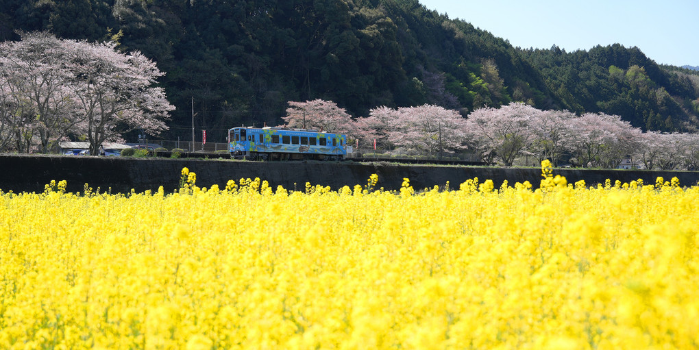 花錦