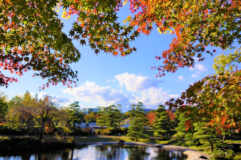 紅葉の窓から眺むる日本庭園。