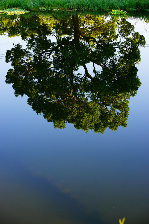 水鏡の世界