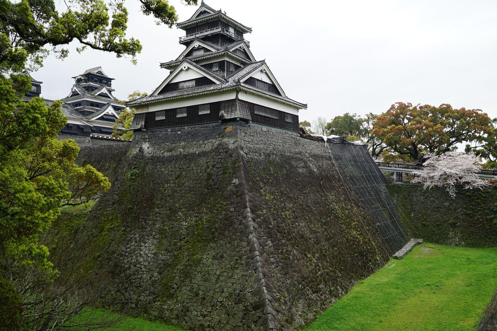 桜の時期の熊本城