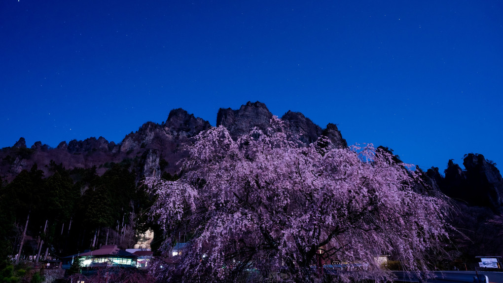 妙義の桜（夕、夜景）8枚組
