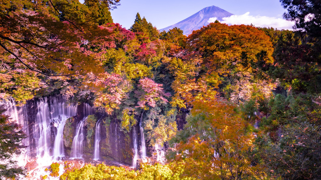 紅葉　in　白糸の滝（5枚組）