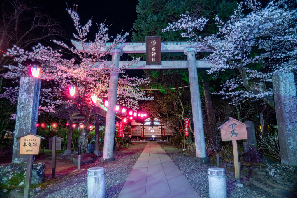 桜紀行2021-4　信州の夜桜、星景（8枚組）