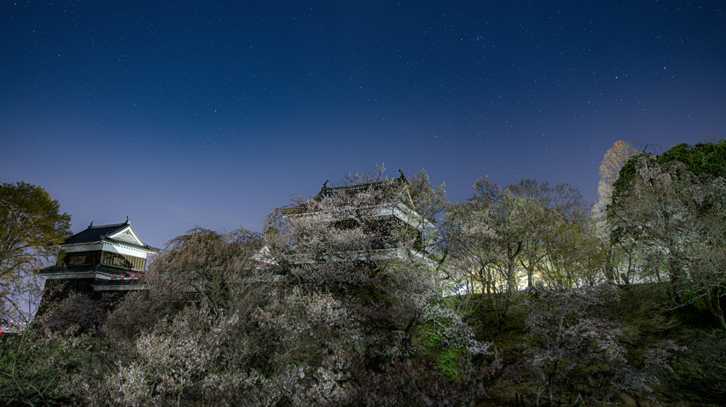 桜紀行2021-4　信州の夜桜、星景（8枚組）