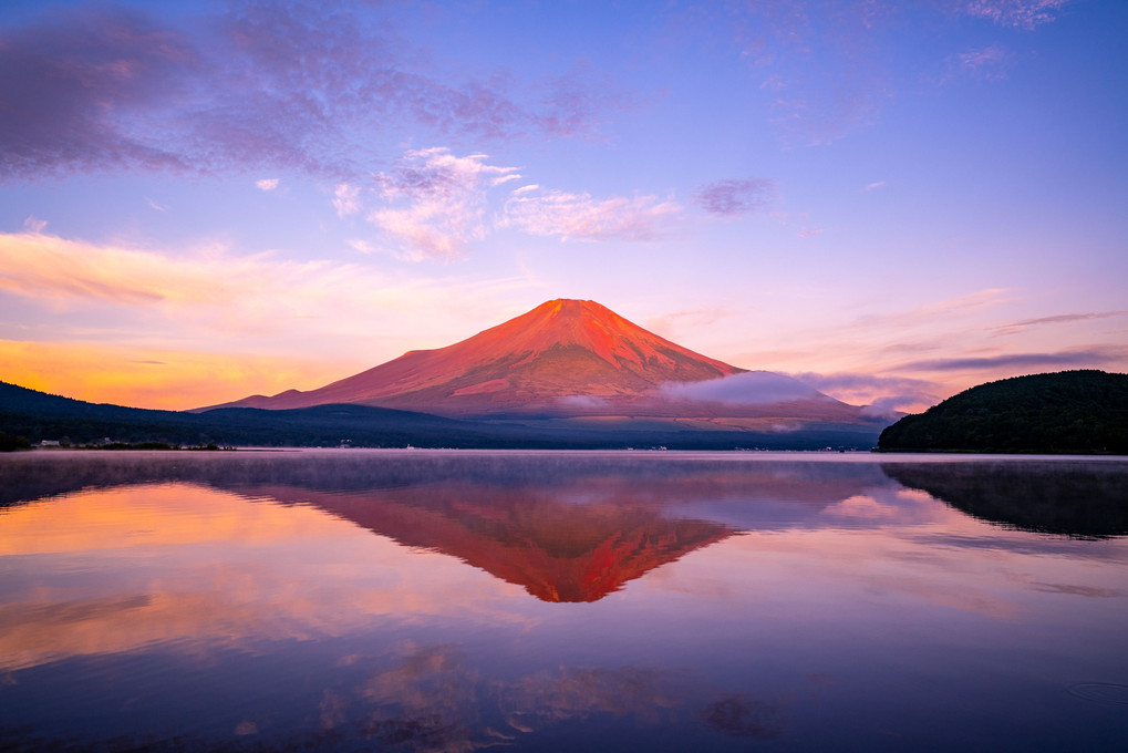 山中湖7景（赤富士、コブハクチョウ親子、天の川）