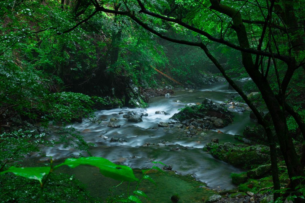 雨霧の蛇留淵