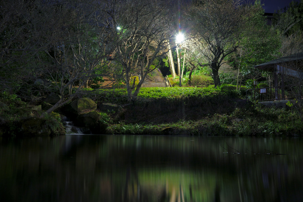 深夜の池