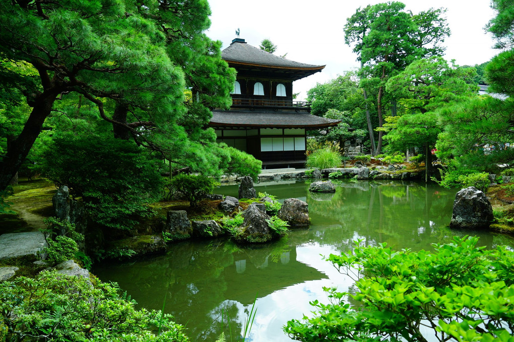 夏の京都巡り